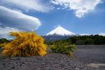 Puerto Varas 13