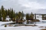 Beartooth Highway / Beartooth Pass