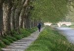 Wandern am Canal du Midi