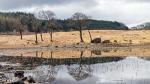 Schottland im März 28