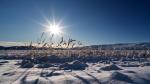 erster Schnee in Grönland