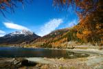 Herbst beim Sufner See (CH) II