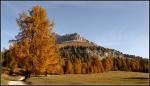 Herbst am Rosengarten