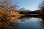 Mt.Fuji