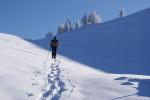 Schneeschuhwanderung