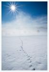 Wintersonne im Schwarzwald