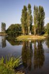 Rousseau Insel -II-