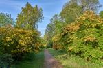 Ohrbergpark bei Hameln 2