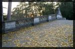 Herbst in Wien 1