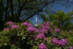 Fernmeldeturm Luisenpark Mannheim