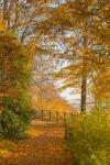 Herbst im Weserbergland 12