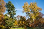 Herbst im Weserbergland 10