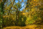 Herbst im Weserbergland 6