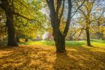 Herbst im Weserbergland 4