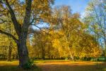 Herbst im Weserbergland 1