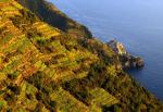 cinque terre oktober