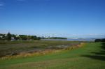 Park vor Auckland skyline