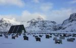 Friedhof Lofoten