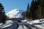 Erster Elch Lofoten 2019