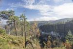 Herbstwanderung Großer Winterberg