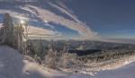 Blick auf den Schwarzwald