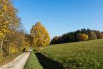 Herbst Bullach 3