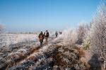 Wanderung im Venner Moor