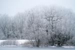 Winterspaziergang mit ingoKober