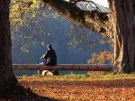 Herbstsonne genießen