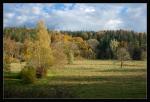 Spaziergang im Herbst 1