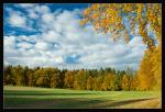 Spaziergang im Herbst 2