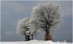 Winter bei Frauenwald