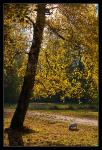 Herbst bei Sissi_4