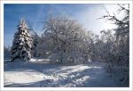 Winter auf dem Erbeskopf