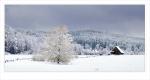 Winterimpression