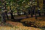 Herbst im Park