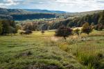 Herbstlicher Wienerwald