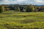 Herbstlicher Wienerwald