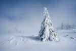 Winter auf der Hornisgrinde