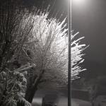 Schnee im Laternenlicht