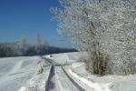 Winterlandschaft