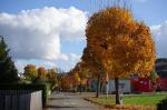 Herbststrasse