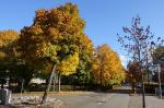 Herbststrasse
