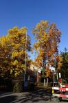 Herbststrasse