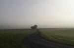 Herbst Nebel