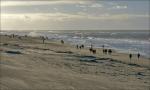 Sylt im November