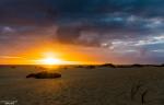 Fuerteventura﻿ (Sanddünen bei Corralejo)