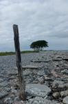 Naturseezeichen vor Schleimünde