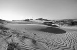 Dünenlandschaft bei Pismo Beach. Californien