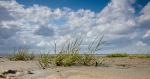 Ebbe im Wattenmeer